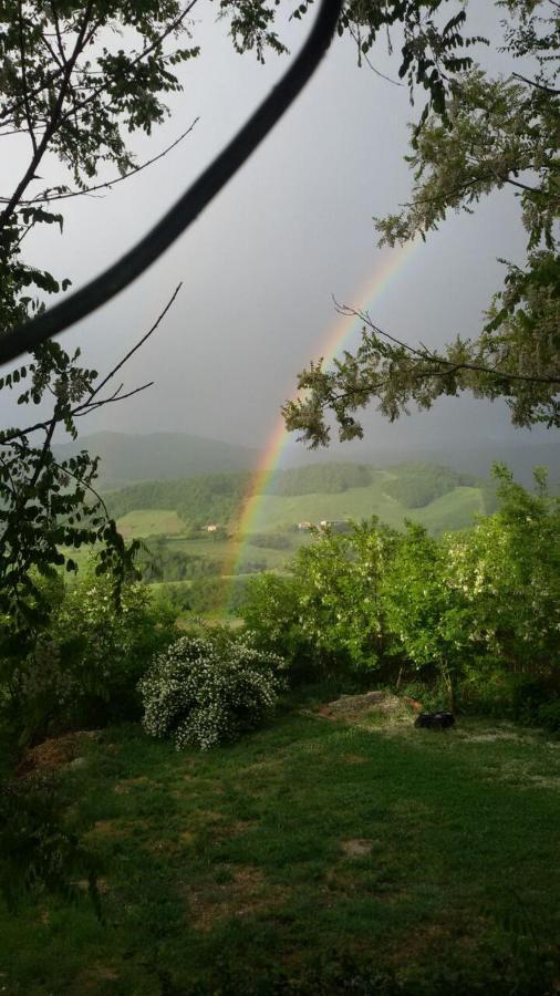 Agriturismo Il Colore Del Grano San Vittore  외부 사진