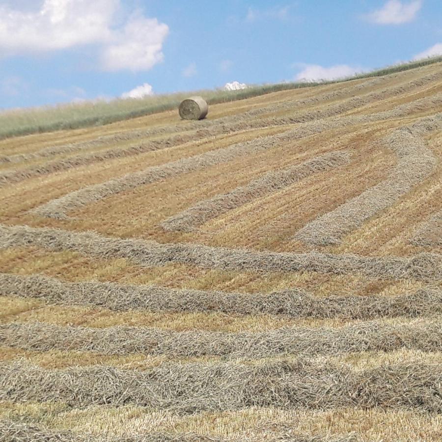 Agriturismo Il Colore Del Grano San Vittore  외부 사진