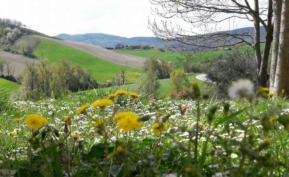 Agriturismo Il Colore Del Grano San Vittore  외부 사진