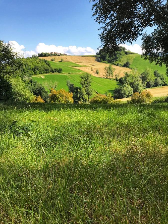 Agriturismo Il Colore Del Grano San Vittore  외부 사진